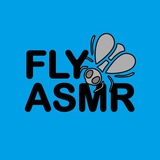 Fly ASMR
