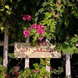 الطريق إلى الجنه .