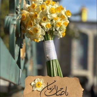 إلى مُوطنٍ يُدعى الجنة 🌱