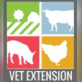 Vet Extension