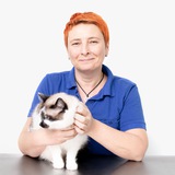 Ветеринарный дерматолог