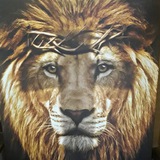 Despertando Leões 🦁 💥
