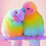 کلبه دنج 💖