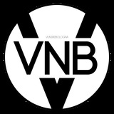 Vu Nere Bologna