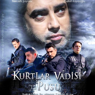 Kurtlar Vadisi Pusu