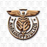 Sağlıkçı Birliği