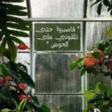 رَآنَ. 𓂆