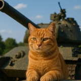 Just_cat