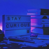 🌐 Curiosités Random 🗺