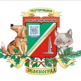Потеряшки Зеленограда 🐶 🐱