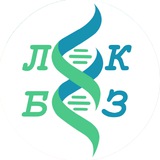 ЛекБез | Безопасность лекарственной терапии