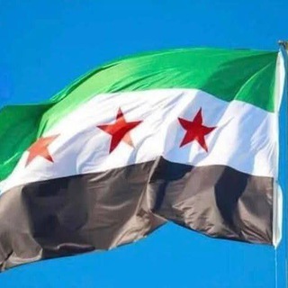 Pharmacists Homs 2025
