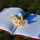 Читаем с Хонни 🌷