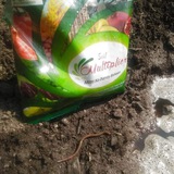 Organic Farming India