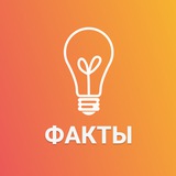 Факты — Давай узнаем!