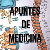 Los resúmenes de Randy y otros de Medicina 📚 📖 <i class