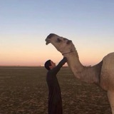 حَـاير