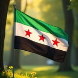 سوريا الآن