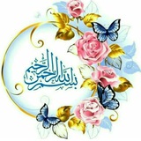 نمونه دولتی.تیزهوشان.ماندگار البرز