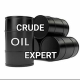 CRUDE EXPERT