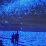واقع،جميل ۪*