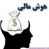 هوش مالی