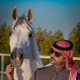 قناة سلمان السلماني
