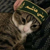 لــ عَـزيِـز فاطـَم³¹³