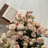 الجَنّة ♡.