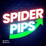 SPIDER PIPS | نقاط العنكبوت 🕷️