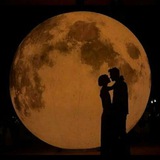 Selenophile 🌕 🖤
