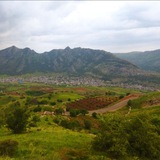 دهیاری دزلی