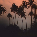 Ummu Umayr (reserve)🌴