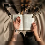 book_libertas