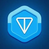 🌍 CRYPTO Checki 🌍