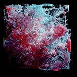 ML physicist