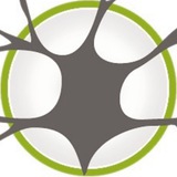 Neurologia Descomplicada - NeuroCurso.com