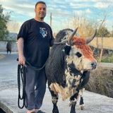 کانال ورزا داران گیلان و مازندران