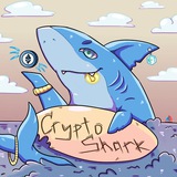 Crypto Shark π¦