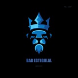 BAD SS