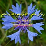 🌿گیاهان دارویی🌿