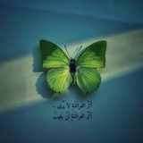 أثرُ الفَراشَة