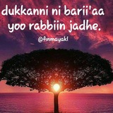Nashida Afaan Oromo