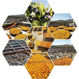 کانال خبری پیام خور