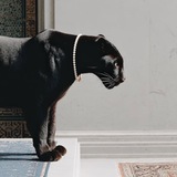 كلاسيك|𝐍𝐚𝐝𝐚