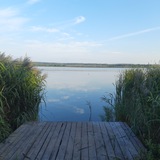 МЕЖУРА