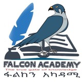 Falcon Academy school