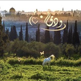 وَدَق')