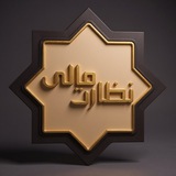 فصلنامه نظارت مالی 🖌 سجاد احمدی