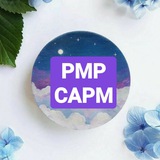 تجميعات اختبارات CAPM & PMP